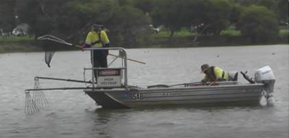 Carb Boat